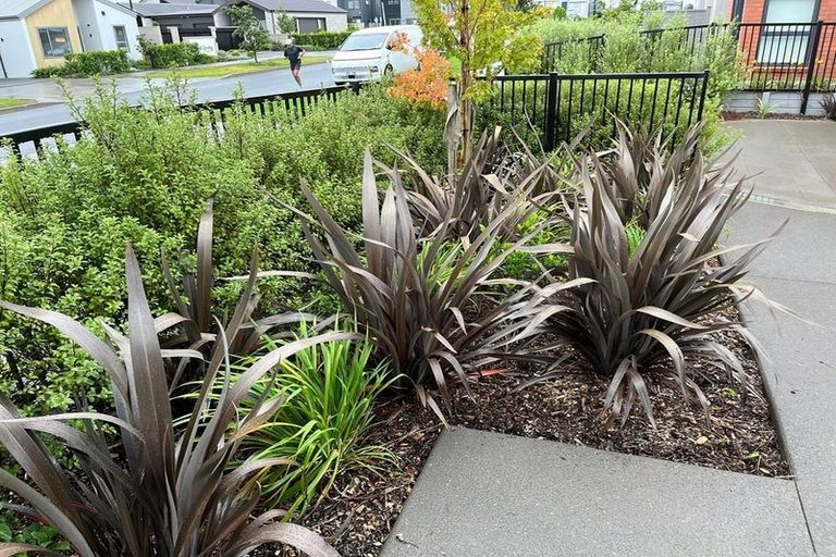 Photo of property in 11 Ngakoro Road, Karaka, Papakura, 2113