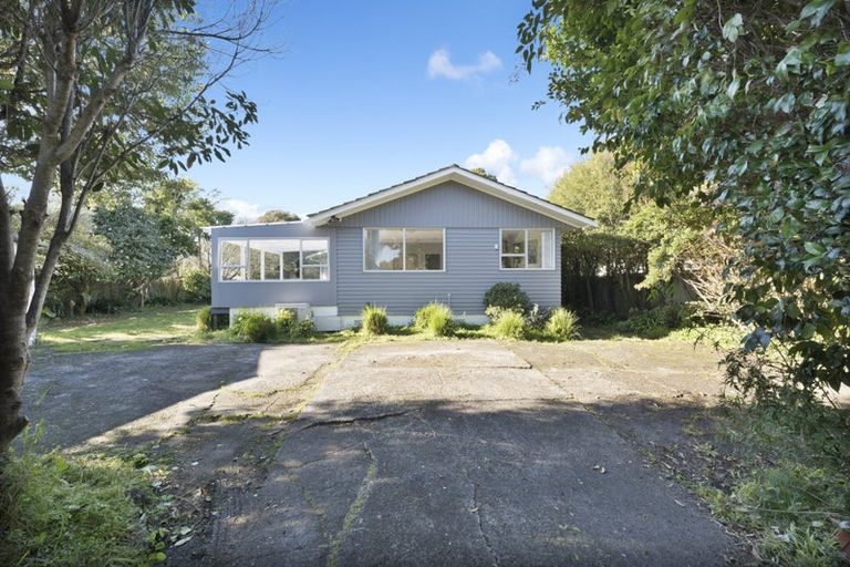 Photo of property in 26 Tabitha Crescent, Henderson, Auckland, 0612