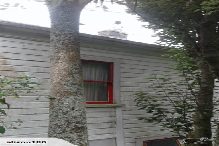 Photo of property in 13 Mortimer Terrace, Aro Valley, Wellington, 6021