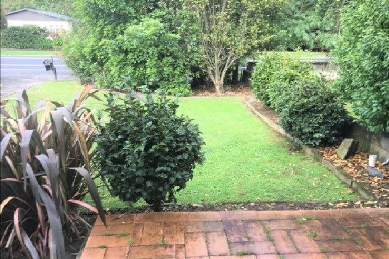 Photo of property in 119 Boundary Road, Claudelands, Hamilton, 3214