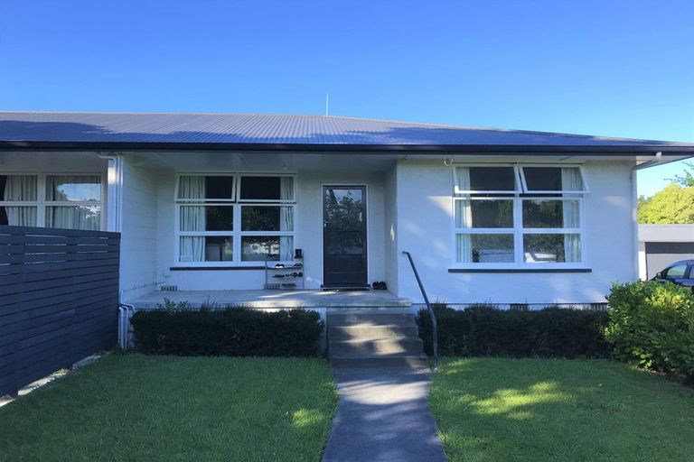 Photo of property in 8 Chambers Street, Havelock North, 4130