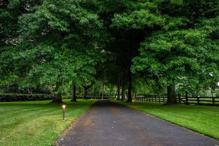 Photo of property in 161 Bollard Road, Tamahere, Hamilton, 3283