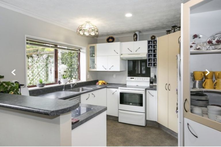 Photo of property in 19 Bucksburn Place, Greenmeadows, Napier, 4112