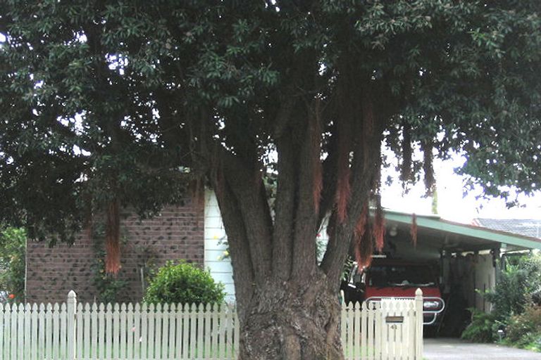 Photo of property in 41 Lincoln Avenue, Epuni, Lower Hutt, 5011