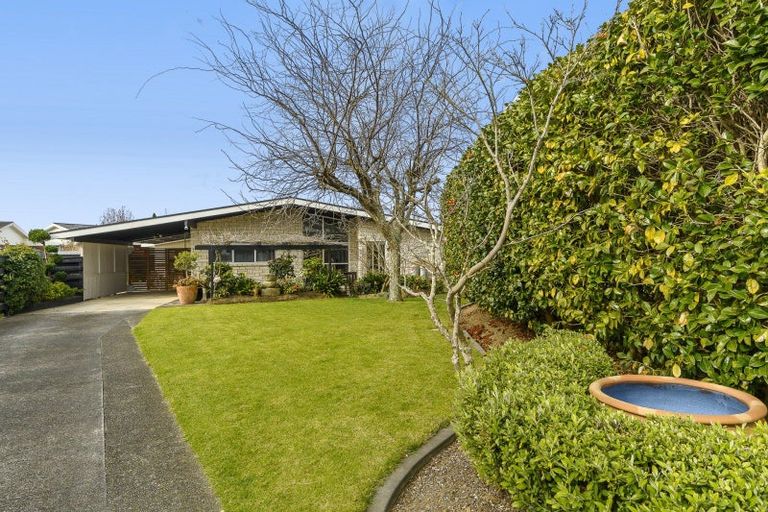 Photo of property in 17 Linklater Avenue, Bellevue, Tauranga, 3110