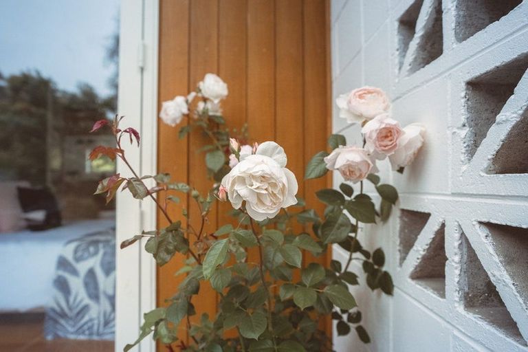 Photo of property in 5/3 Head Street, Sumner, Christchurch, 8081