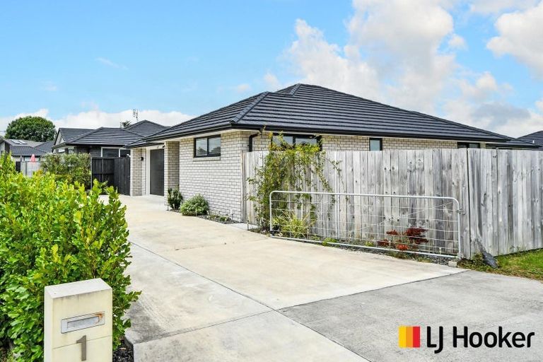 Photo of property in 1 Rosso Lane, Te Kauwhata, 3710