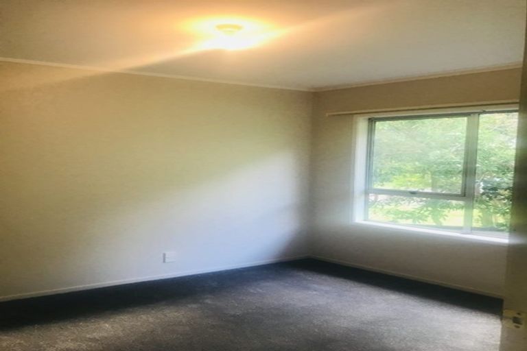 Photo of property in 9 Elmira Place, Browns Bay, Auckland, 0630