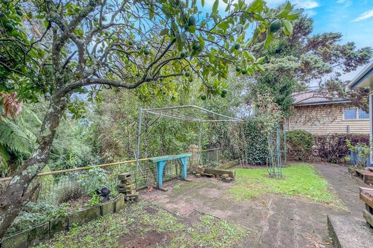 Photo of property in 51 Arapuni Street, Putaruru, 3411