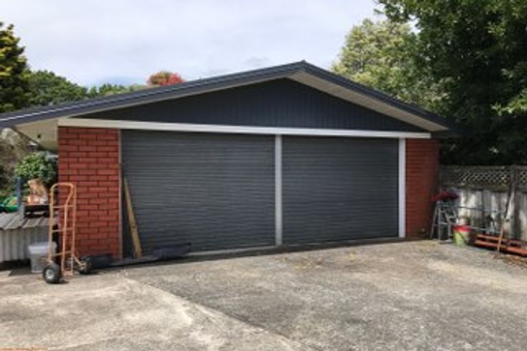 Photo of property in 141 Fitzroy Avenue, Fitzroy, Hamilton, 3206