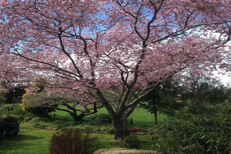 Photo of property in 82 Point Bush Road, Waimate, 7979