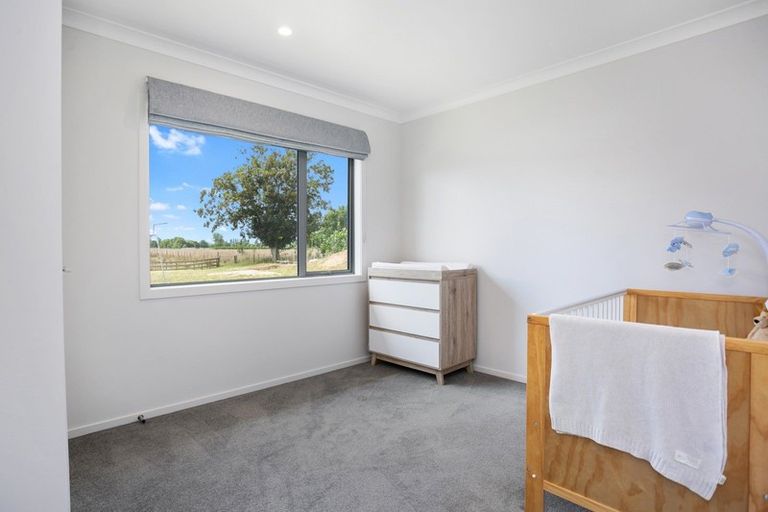 Photo of property in 3791 Ohaupo Road, Ohaupo, 3882