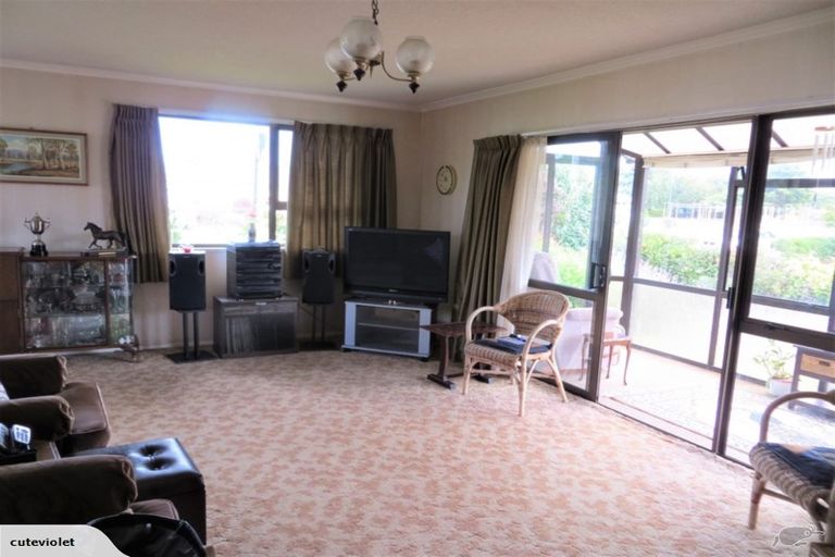 Photo of property in 21a Bowen Street, Cambridge, 3434