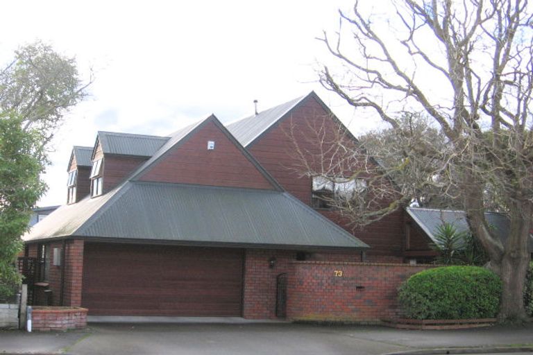 Photo of property in 73 Te Awe Awe Street, Hokowhitu, Palmerston North, 4410