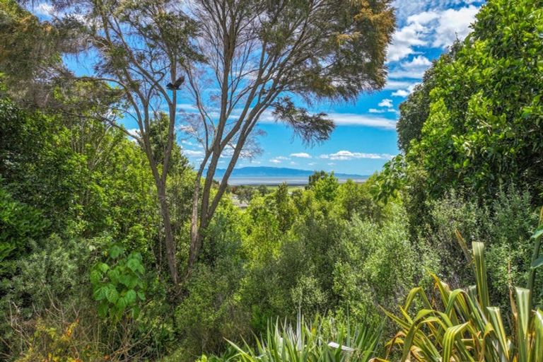 Photo of property in 41b Totara Valley Road, Thames, 3578