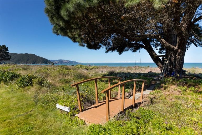 Photo of property in 196 Rarangi Beach Road, Rarangi, Blenheim, 7273