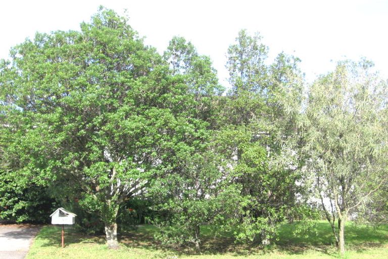 Photo of property in 20 Hinerau Street, Henderson, Auckland, 0612