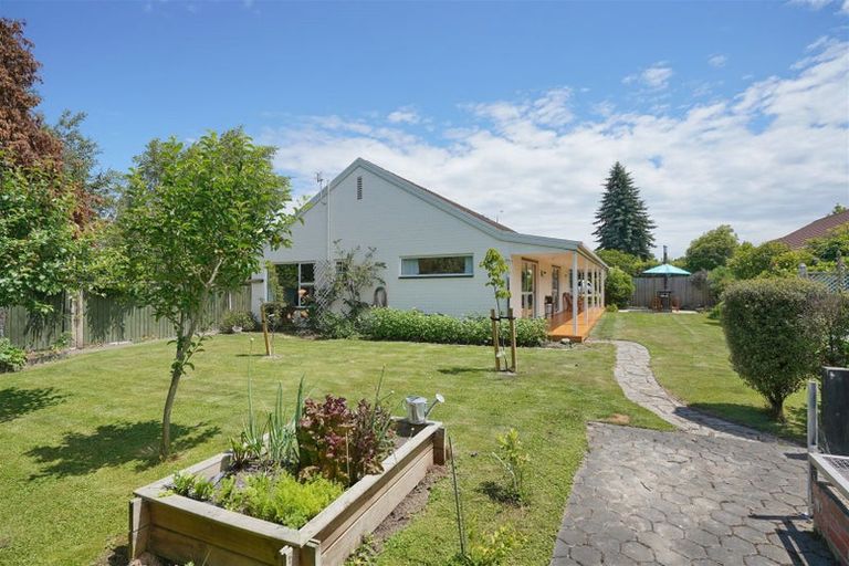 Photo of property in 100 Ashley Street, Rangiora, 7400