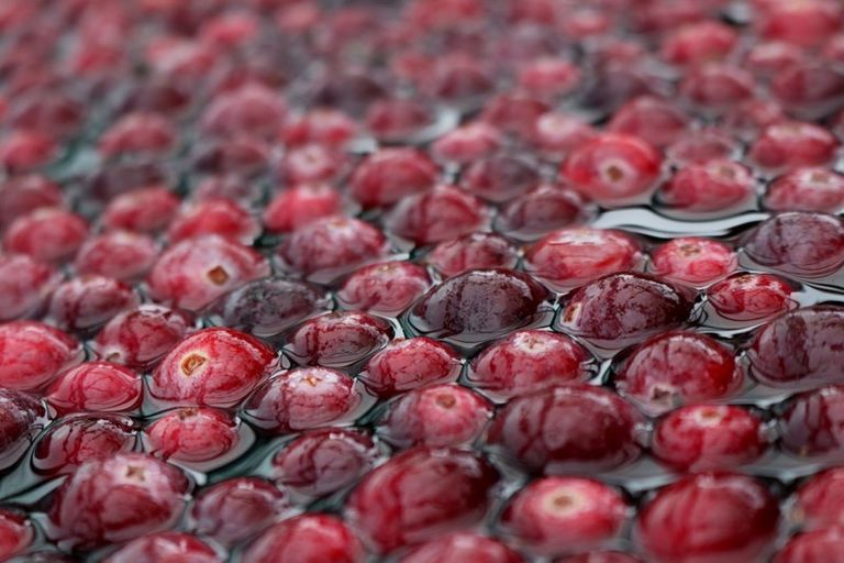 Photo of property in 1218 Old Christchurch Road, Awatuna, Hokitika, 7882