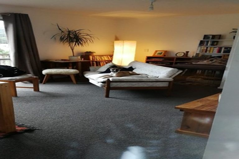 Photo of property in 164b Raroa Road, Aro Valley, Wellington, 6012