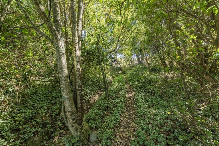 Photo of property in 109 Mountain Road, View Hill, Oxford, 7495