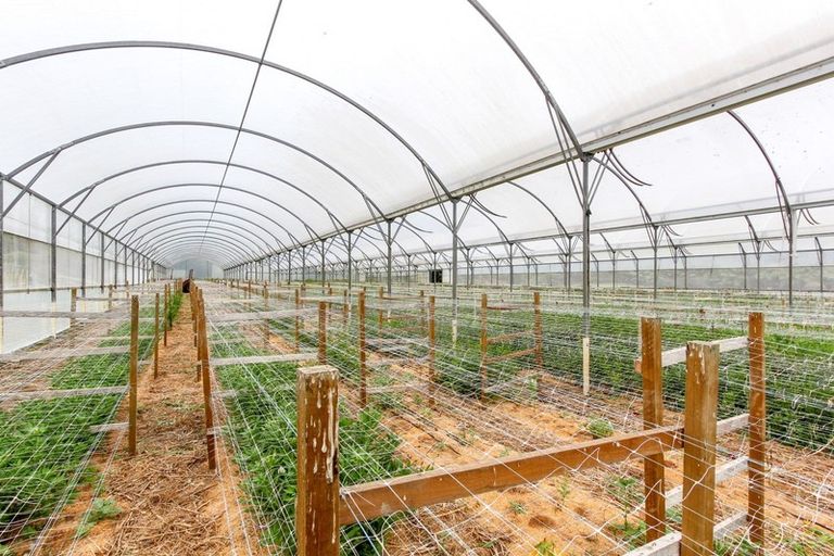 Photo of property in 1066 Egmont Road, Egmont Village, New Plymouth, 4372