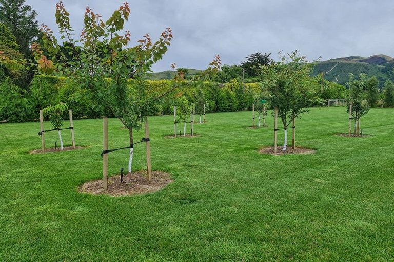 Photo of property in 228 Powells Road, Starvation Hill, Oxford, 7495