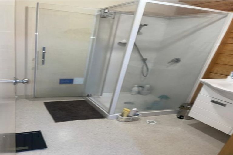 Photo of property in Te Awhina Apartments, 5/22 Sussex Street, Mount Cook, Wellington, 6021