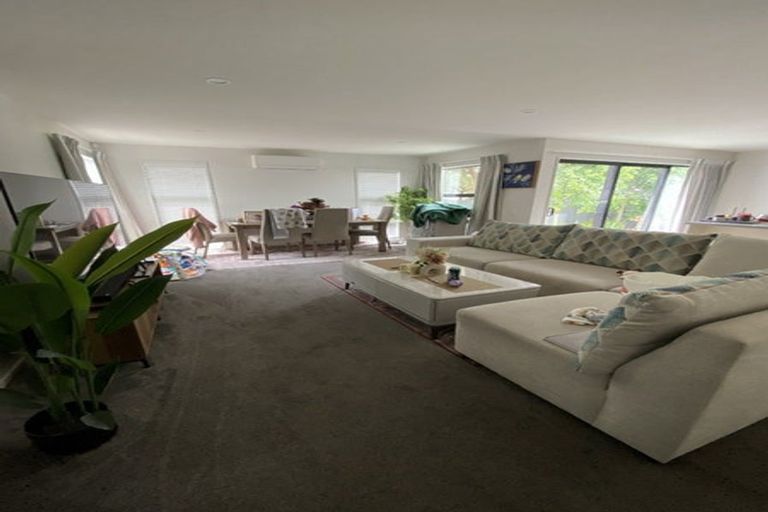 Photo of property in 1/49 Olliviers Road, Phillipstown, Christchurch, 8011