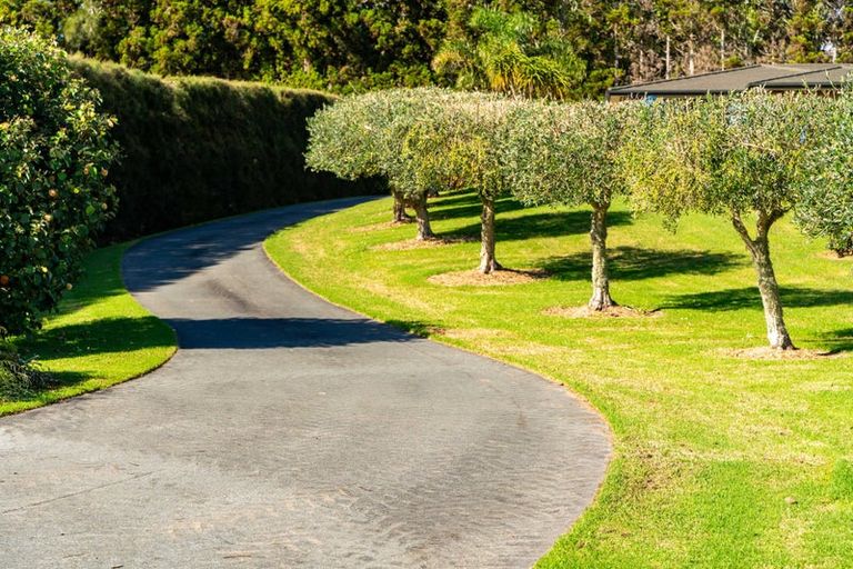 Photo of property in 81 Avocado Lane, Mangawhai, Wellsford, 0975