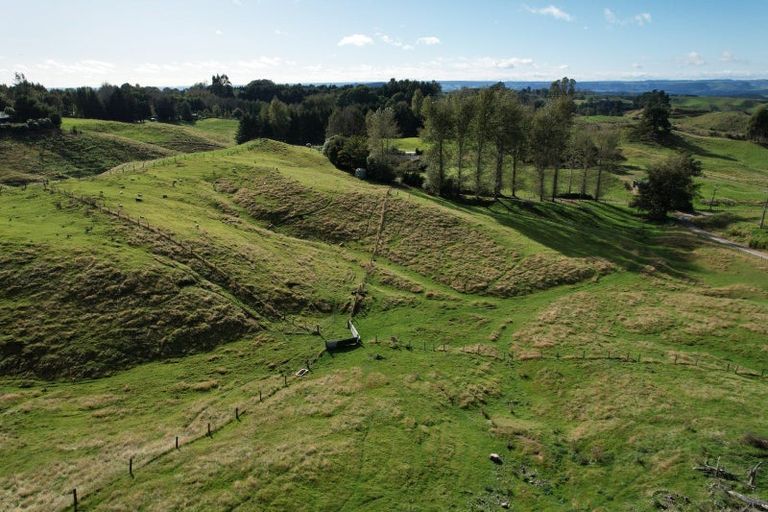 Photo of property in 61 Oak Drive, Wairakei, Taupo, 3384