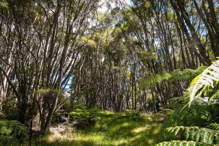 Photo of property in 49 Mangotahi Road, Thames, 3577