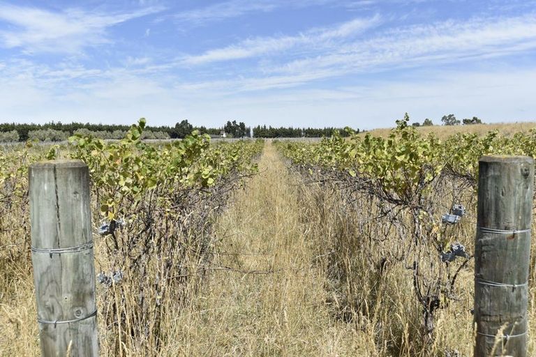 Photo of property in 244d Georges Road, Glasnevin, 7482