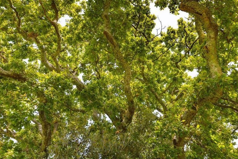 Photo of property in 40 Harris Street, Huntly, 3700