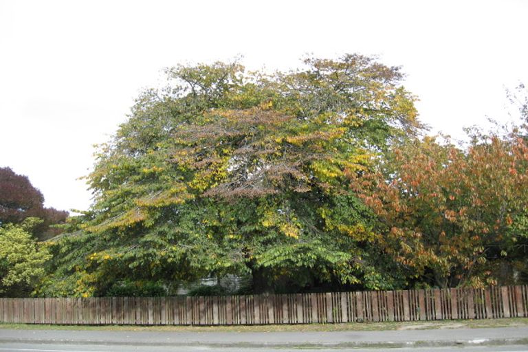 Photo of property in 67 Racecourse Road, Sockburn, Christchurch, 8042