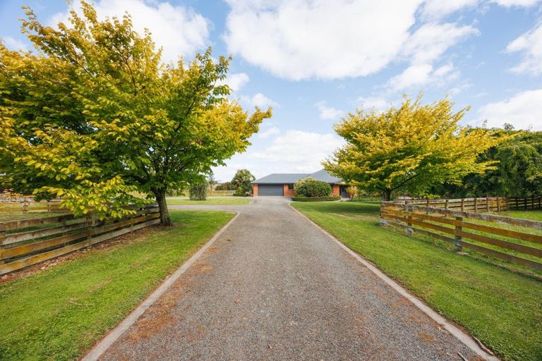 Photo of property in 285 Forlong Road, Colyton, Feilding, 4775