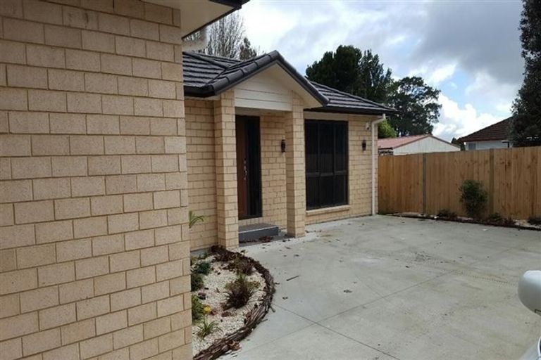 Photo of property in 50b Pinedale Place, Henderson, Auckland, 0610