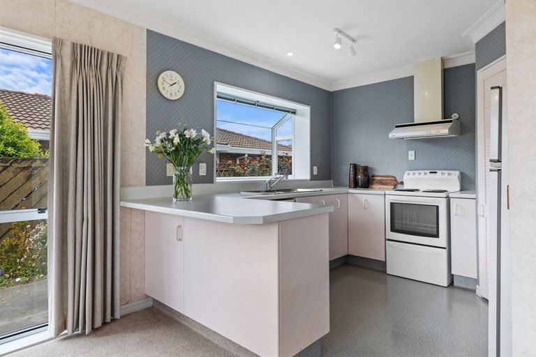 Photo of property in 19b Reilly Avenue, Mount Maunganui, 3116