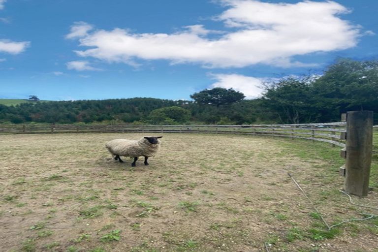 Photo of property in 21 Tukairangi Road, Wairakei, Taupo, 3385