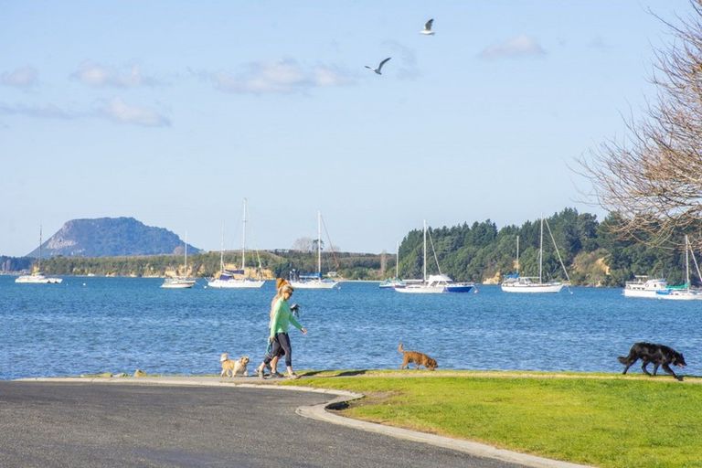 Photo of property in 3 Te Kaka Place, Omokoroa, 3114