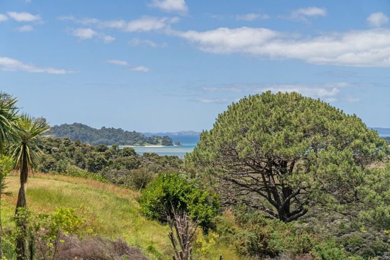 Photo of property in 108 Horongaherehere Row, Te Rerenga, Coromandel, 3582