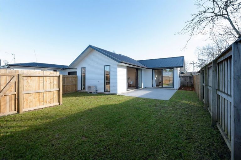 Photo of property in 99b Bruce Avenue, Glenview, Hamilton, 3206