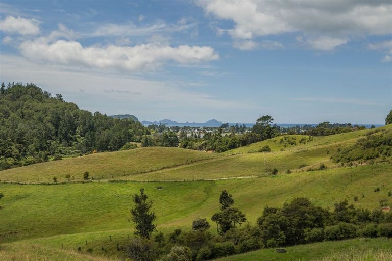 Photo of property in 49 Red Bridge Road, Pukepoto, Hikuai, 3579
