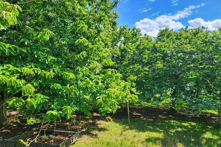 Photo of property in 40 Moorfield Road, Te Kauwhata, 3782