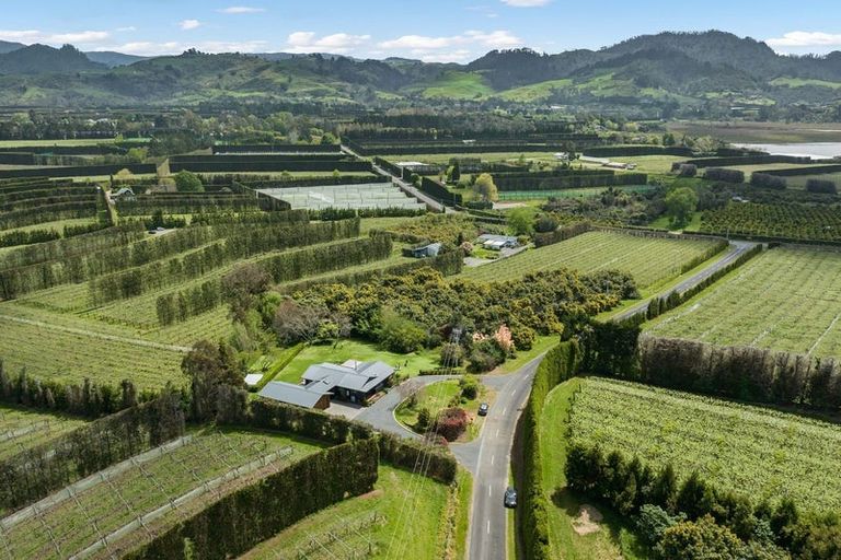 Photo of property in 113 Martray Road, Tahawai, Katikati, 3170