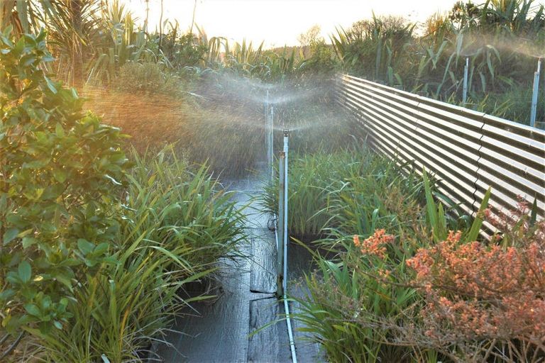 Photo of property in 1246 Babylon Coast Road, Omamari, Dargaville, 0373