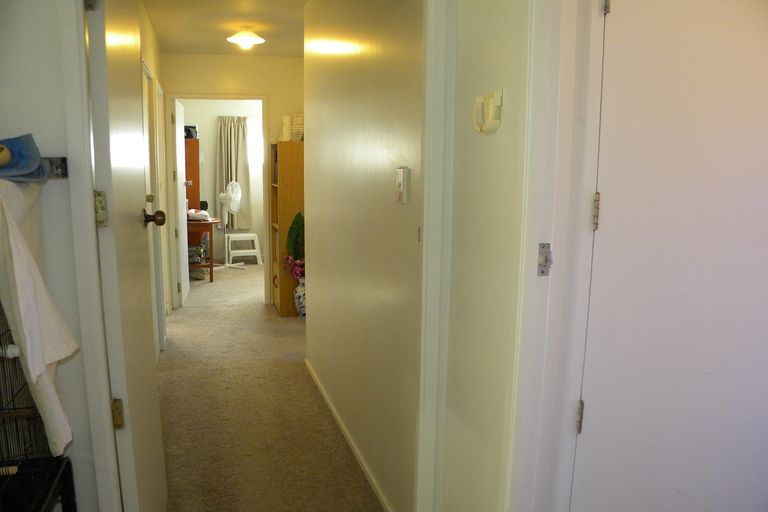 Photo of property in 142 Hiskens Place, Te Awamutu, 3800