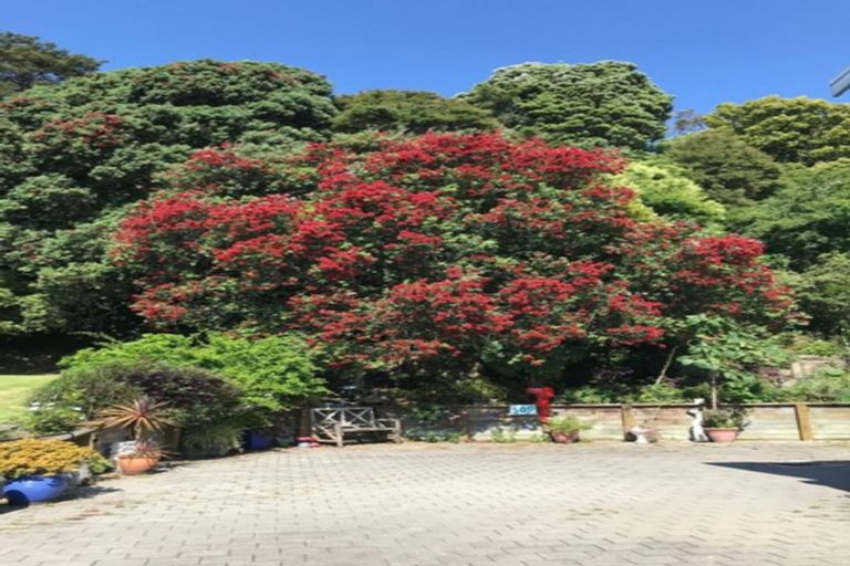 Photo of property in 300a Ngati Maru Sh25 Highway, Thames, 3578