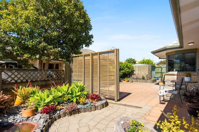 Photo of property in 6 Abelia Avenue, Mount Maunganui, 3116