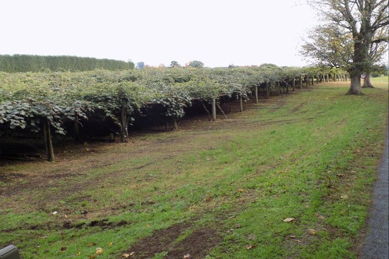 Photo of property in 36 Echo Valley Way, Tauriko, Tauranga, 3110